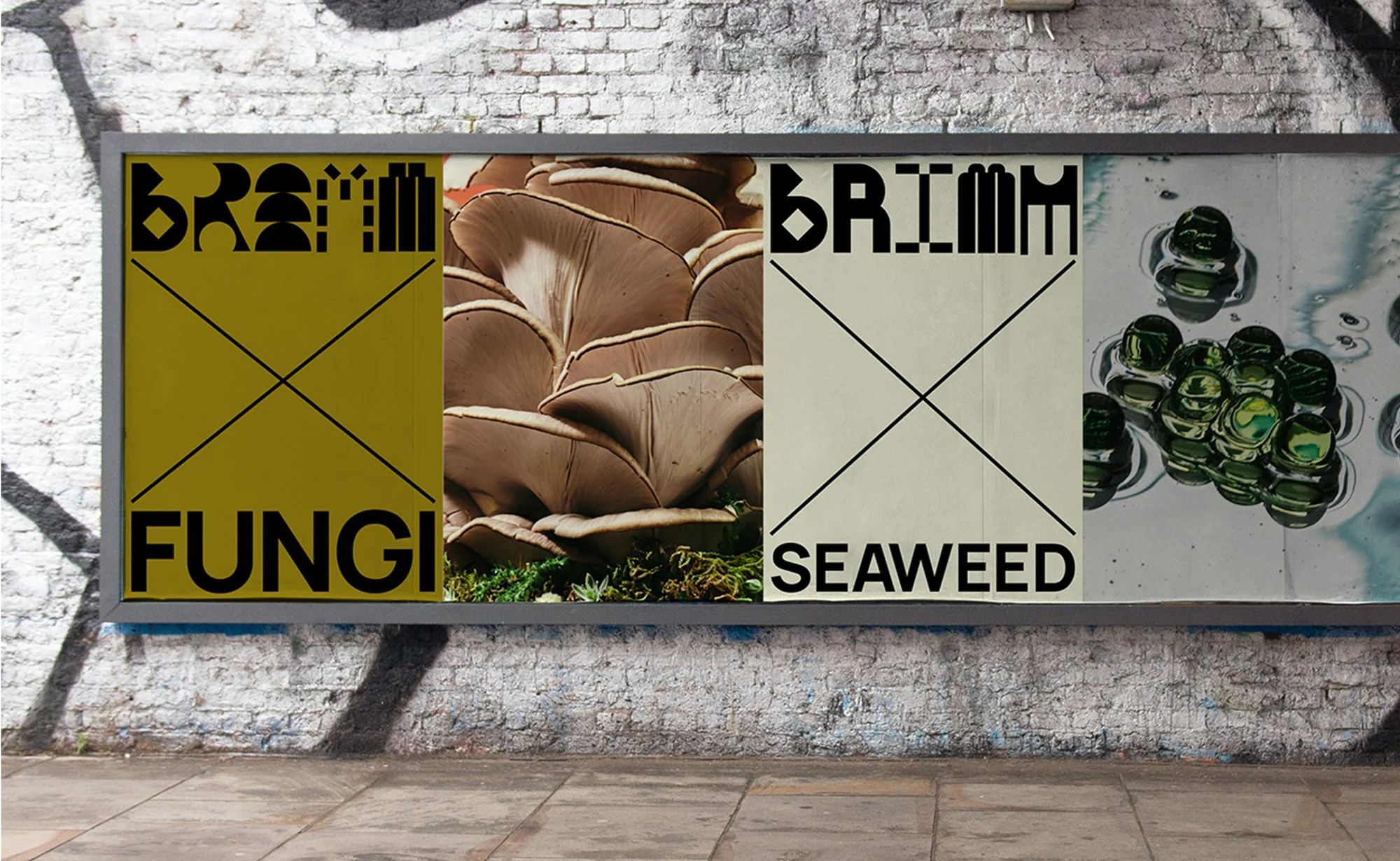 BRiMM — design reference 2