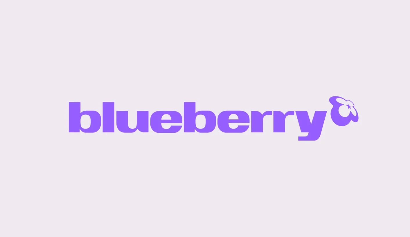 Blueberry — design reference 1