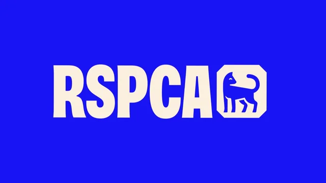 RSPCA — motion reference 1