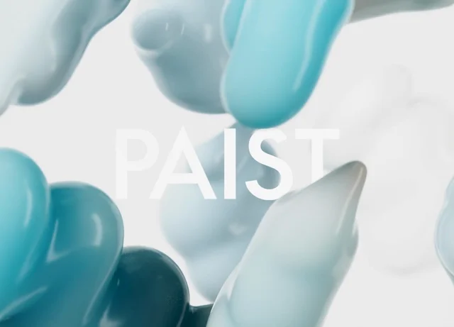 PAIST — motion reference 1