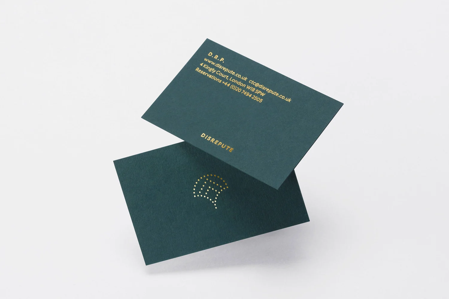 Disrepute — design reference 1