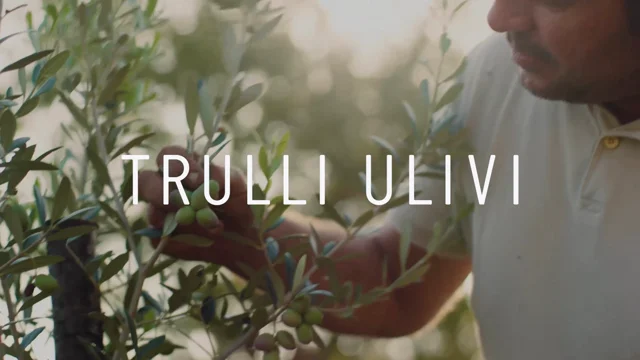 Trulli Ulivi — motion reference 1