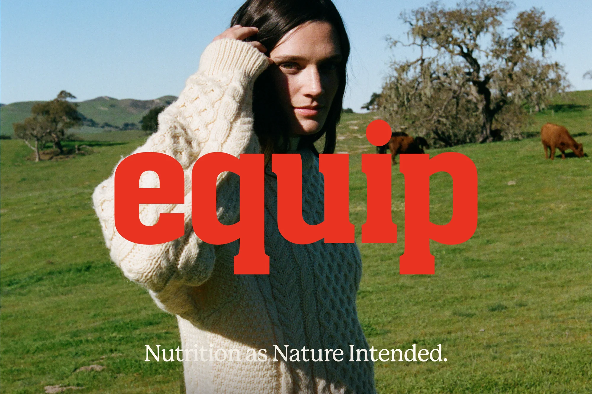equip — design reference 1