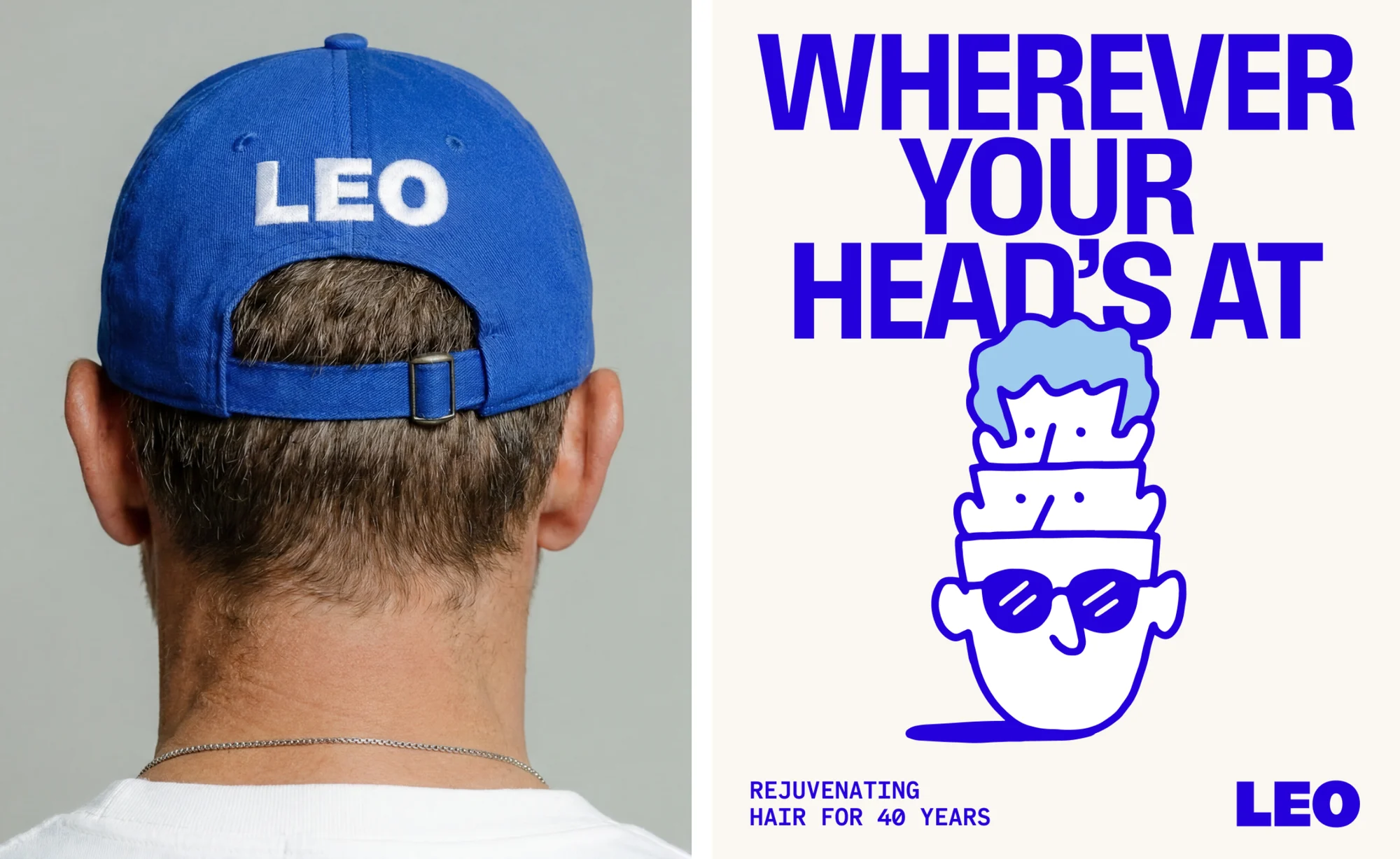 Leo — design reference 2