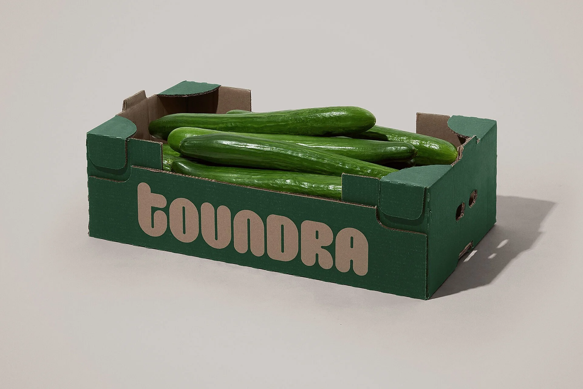 Toundra — design reference 2