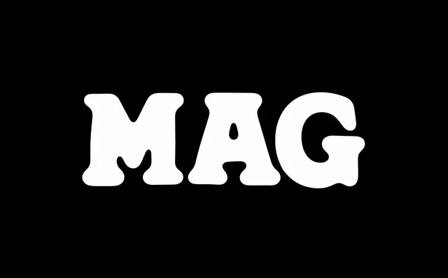 MAG — motion reference 2