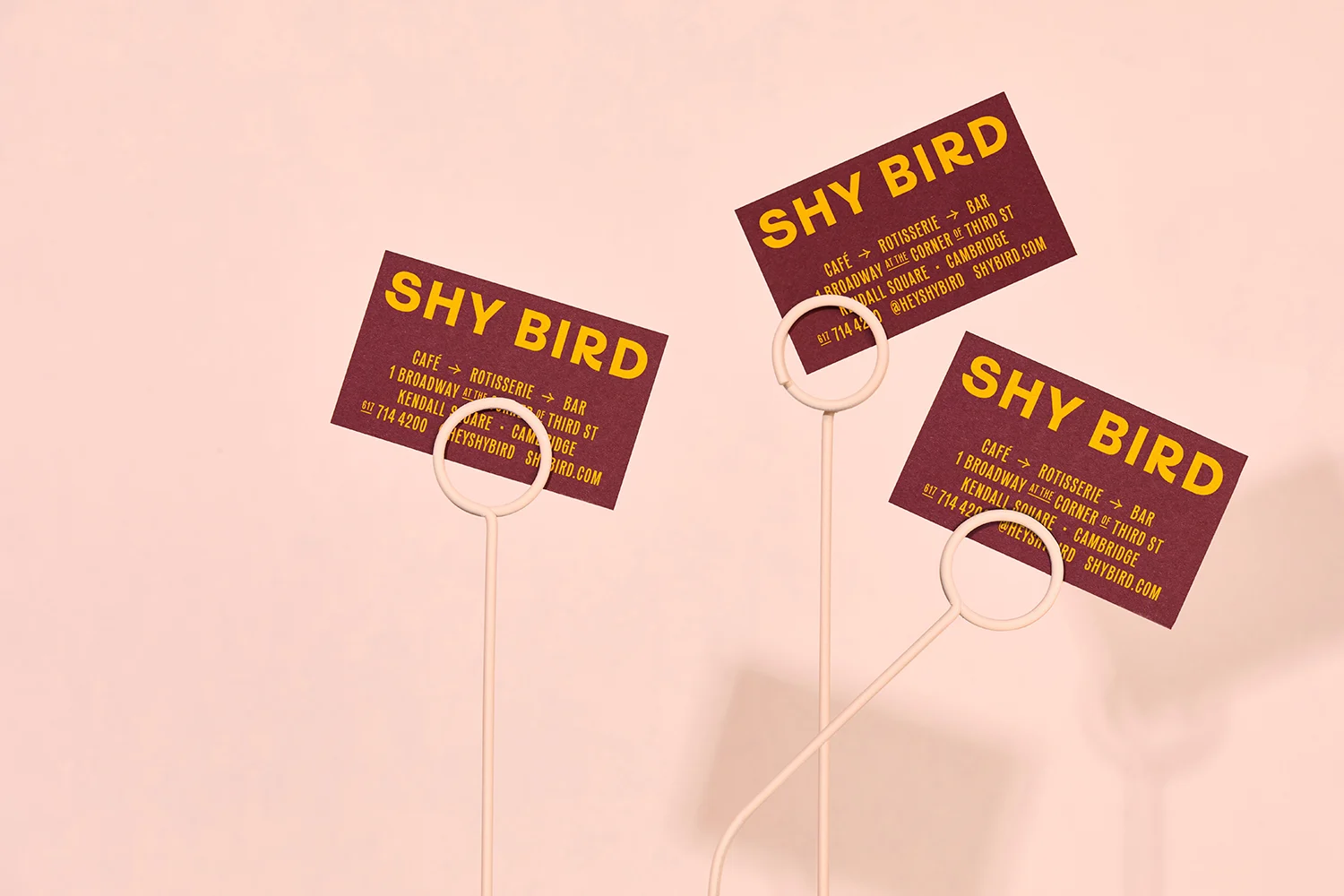 Shy Bird — design reference 1