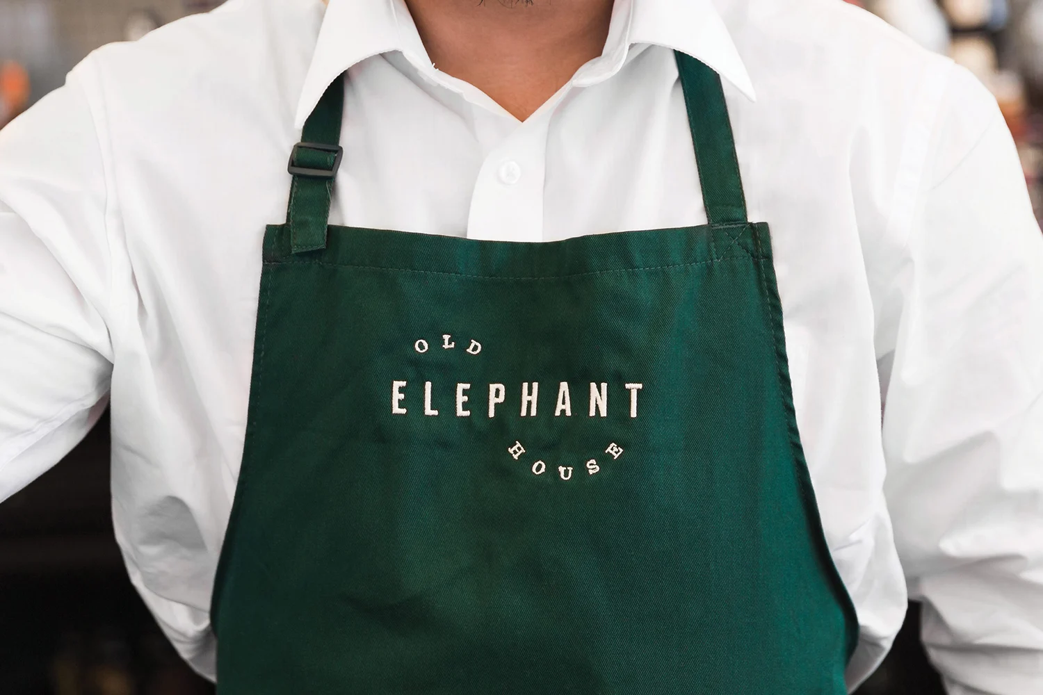 Old Elephant House — design reference 3
