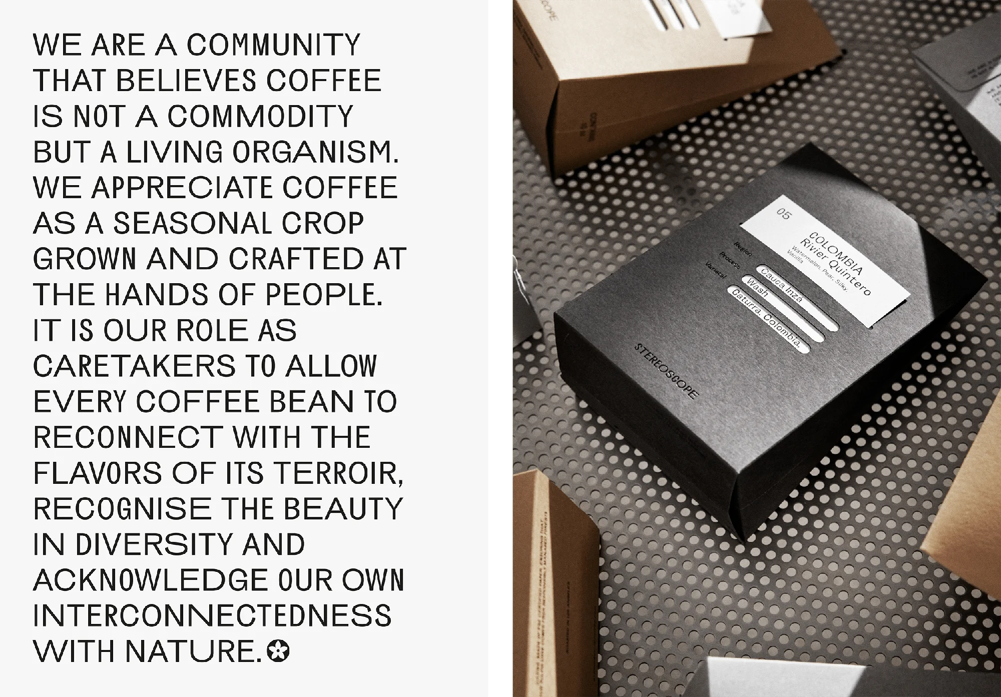 Stereoscope — design reference 1