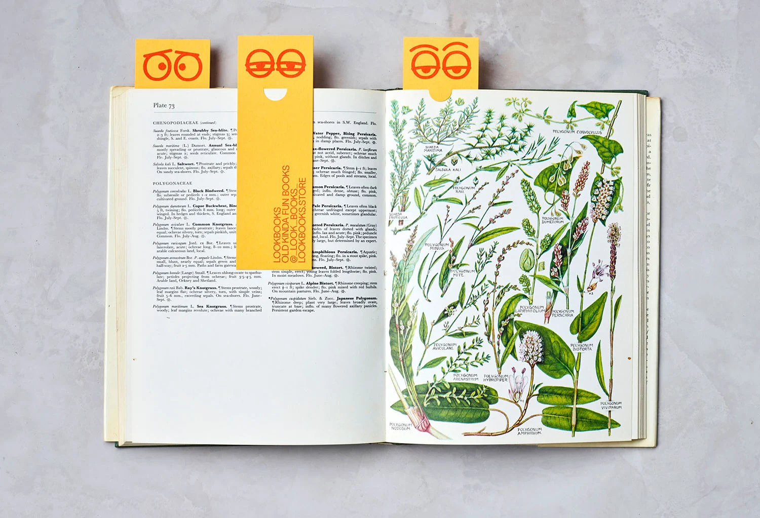 Lookbooks — design reference 3