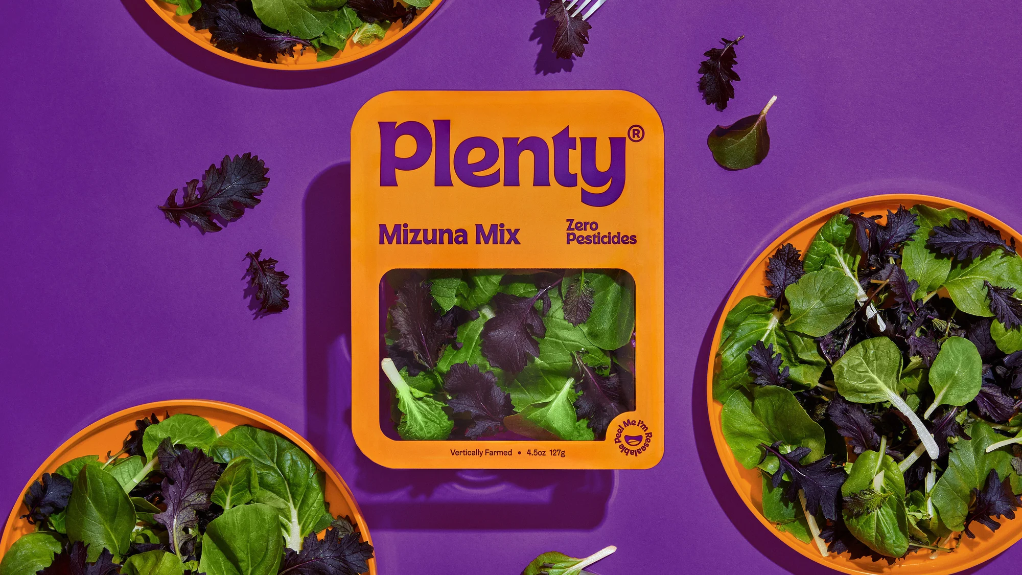 Plenty — design reference 12