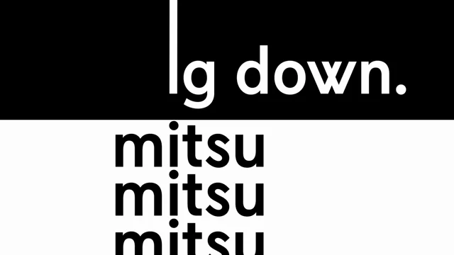 Mitsulift Elevators — motion reference 1