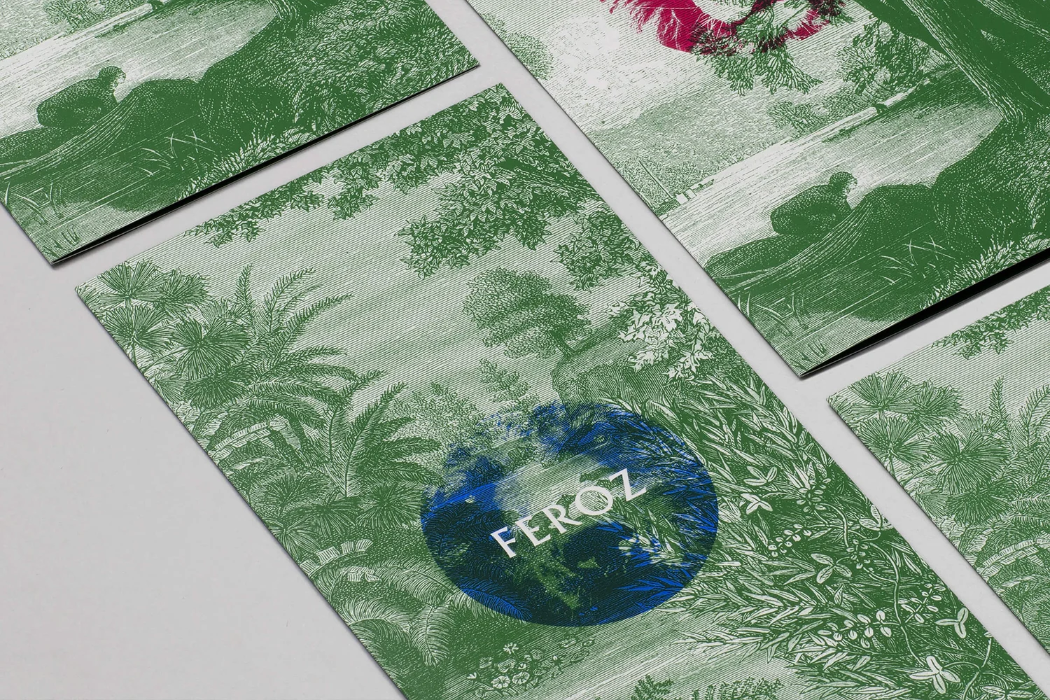 Feroz — design reference 1
