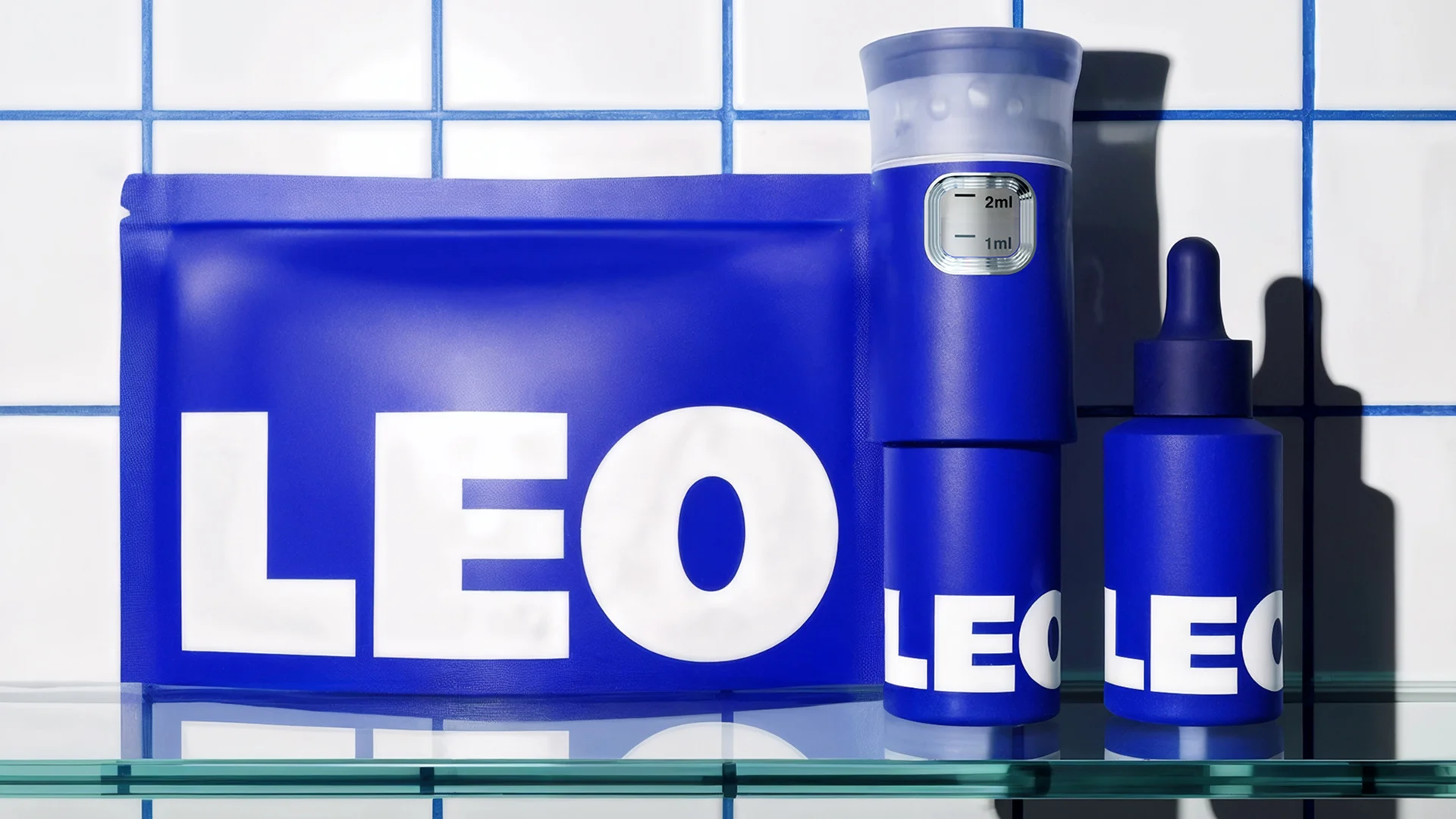 Leo — design reference 1