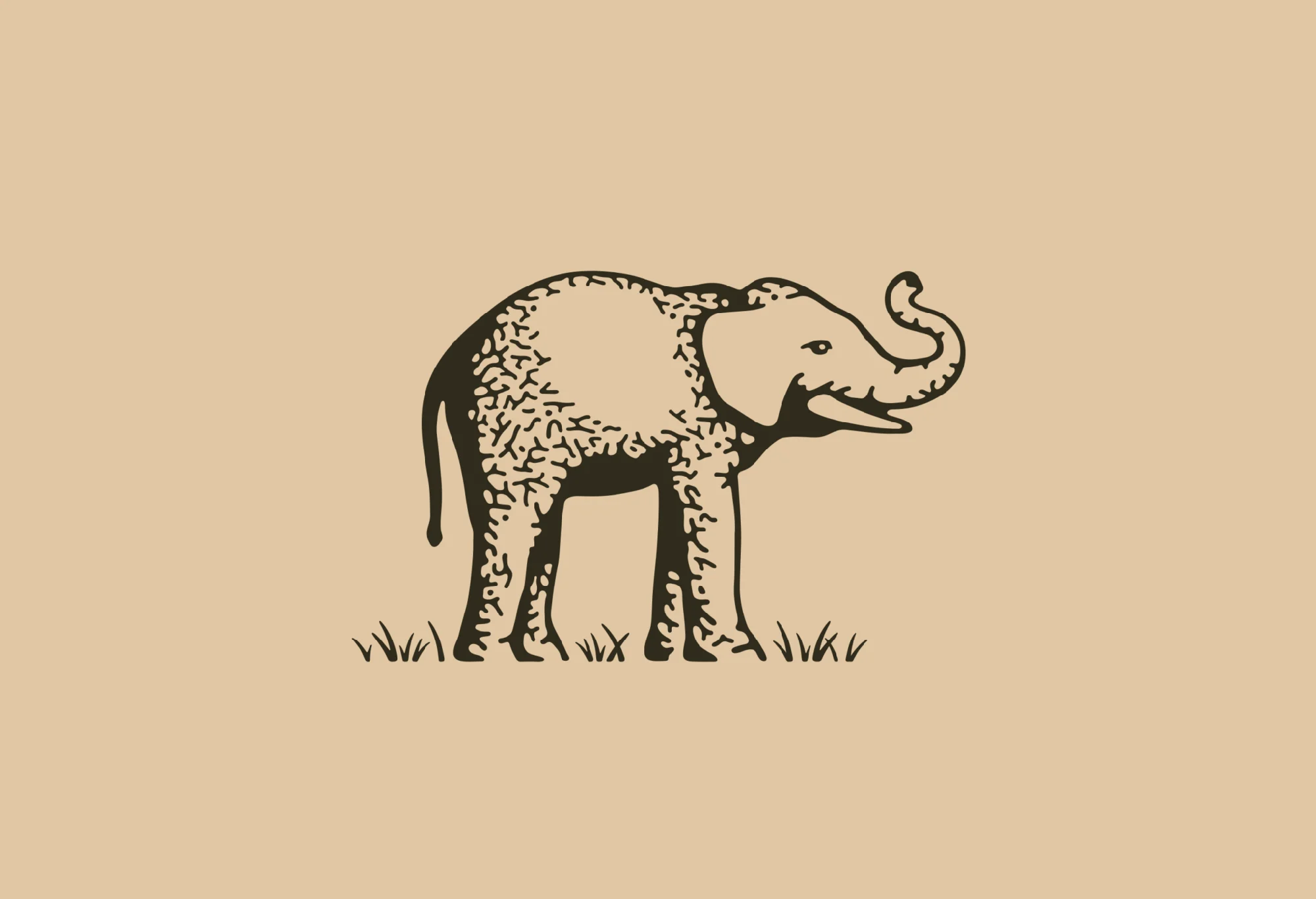 Tembo — design reference 2