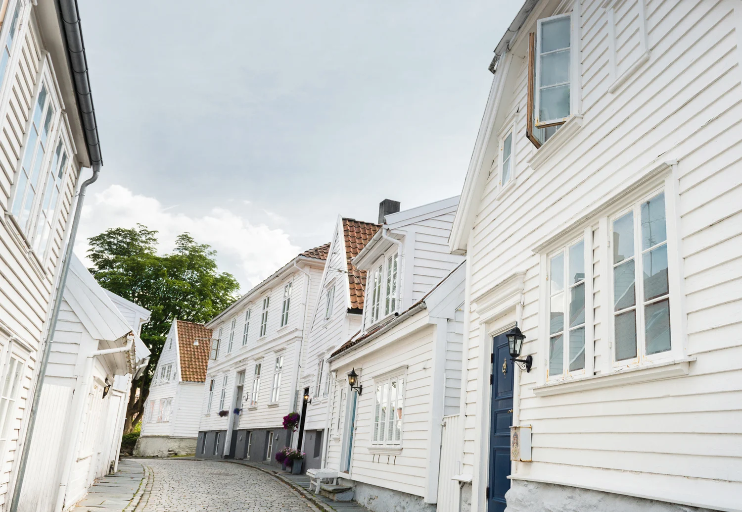 Agder Bryggeri — design reference 2