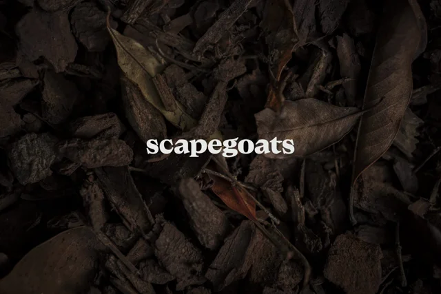 Scapegoats — motion reference 1