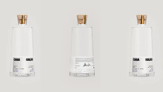 Casa Malka — motion reference 1