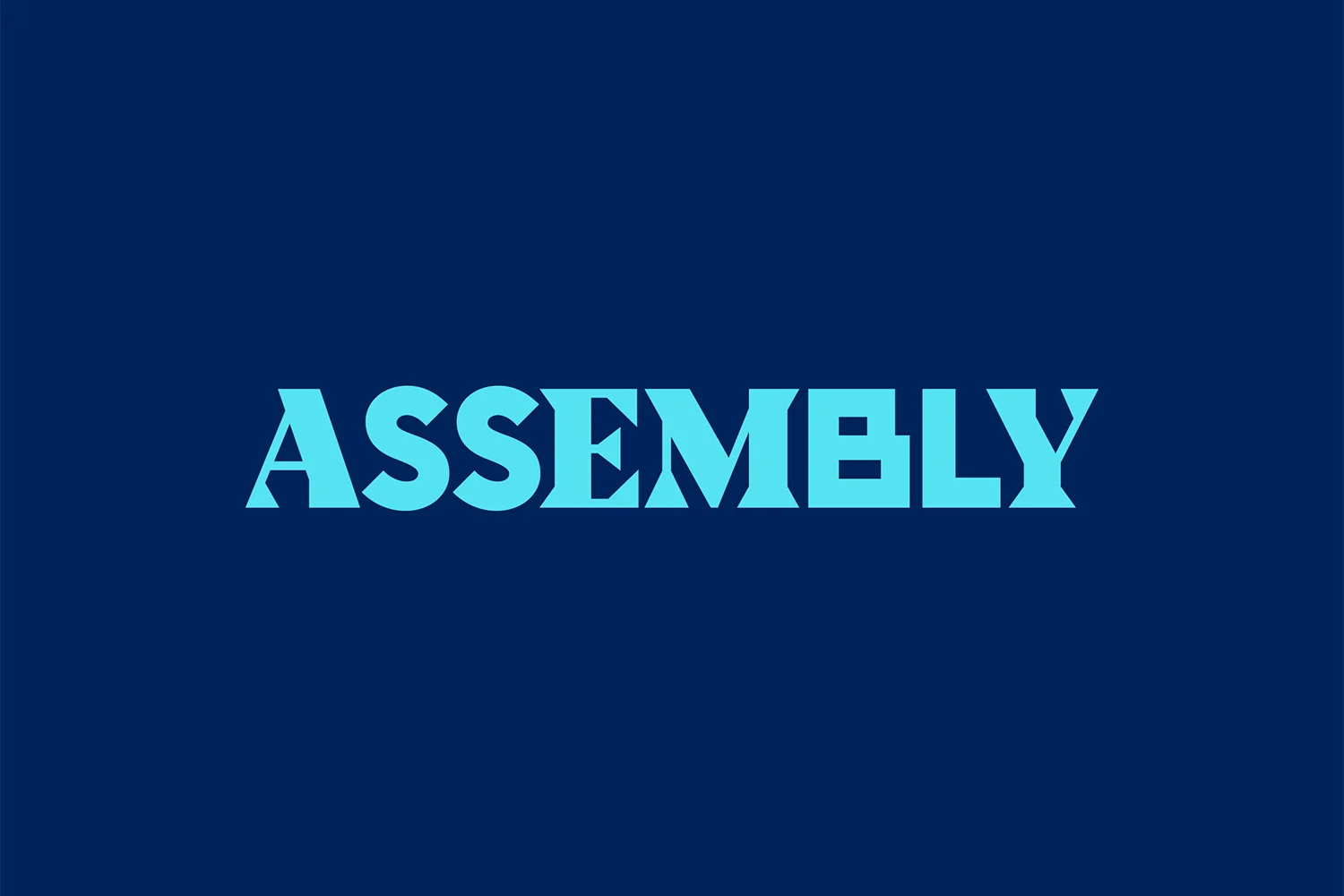 Assembly — design reference 2