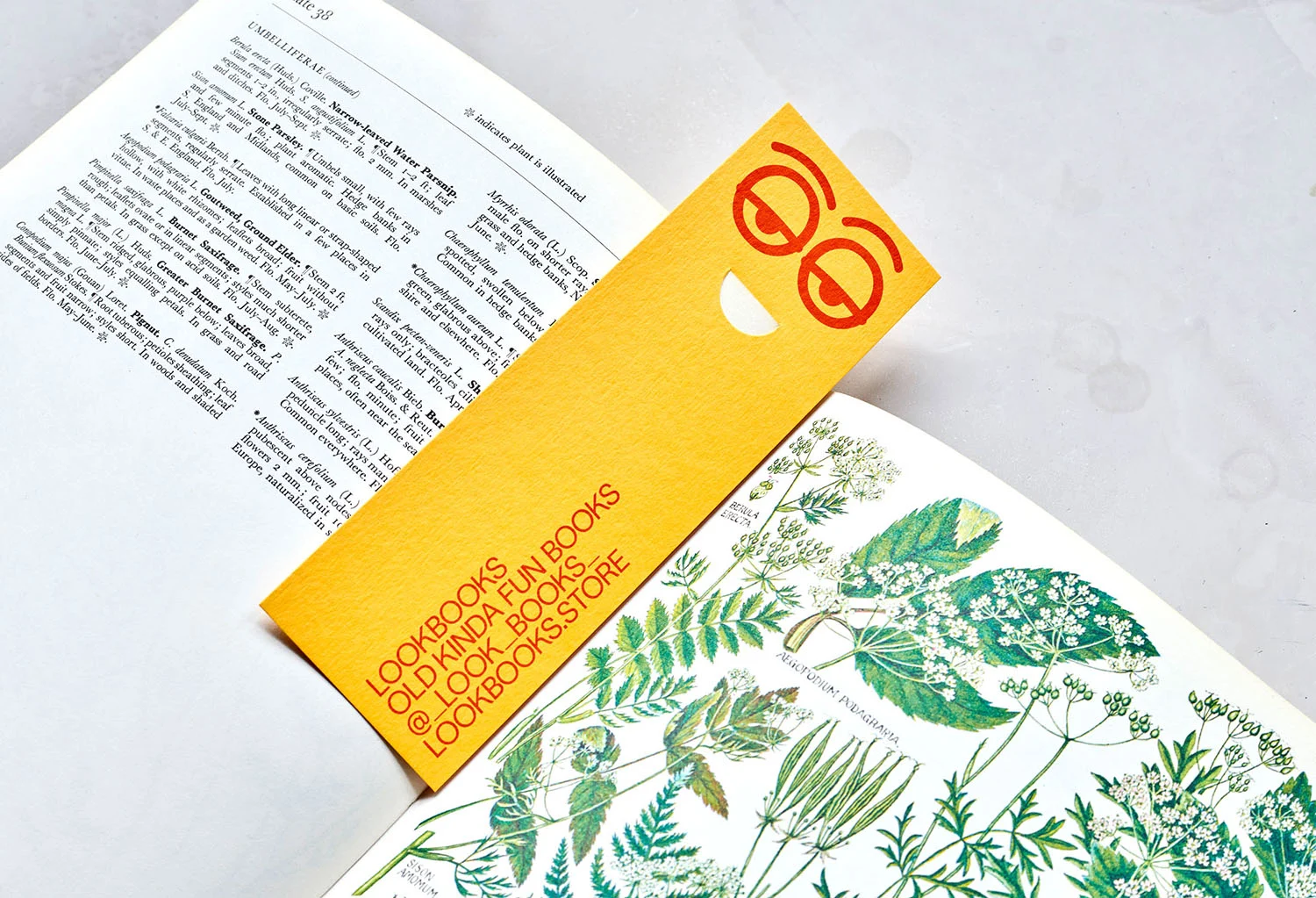 Lookbooks — design reference 1