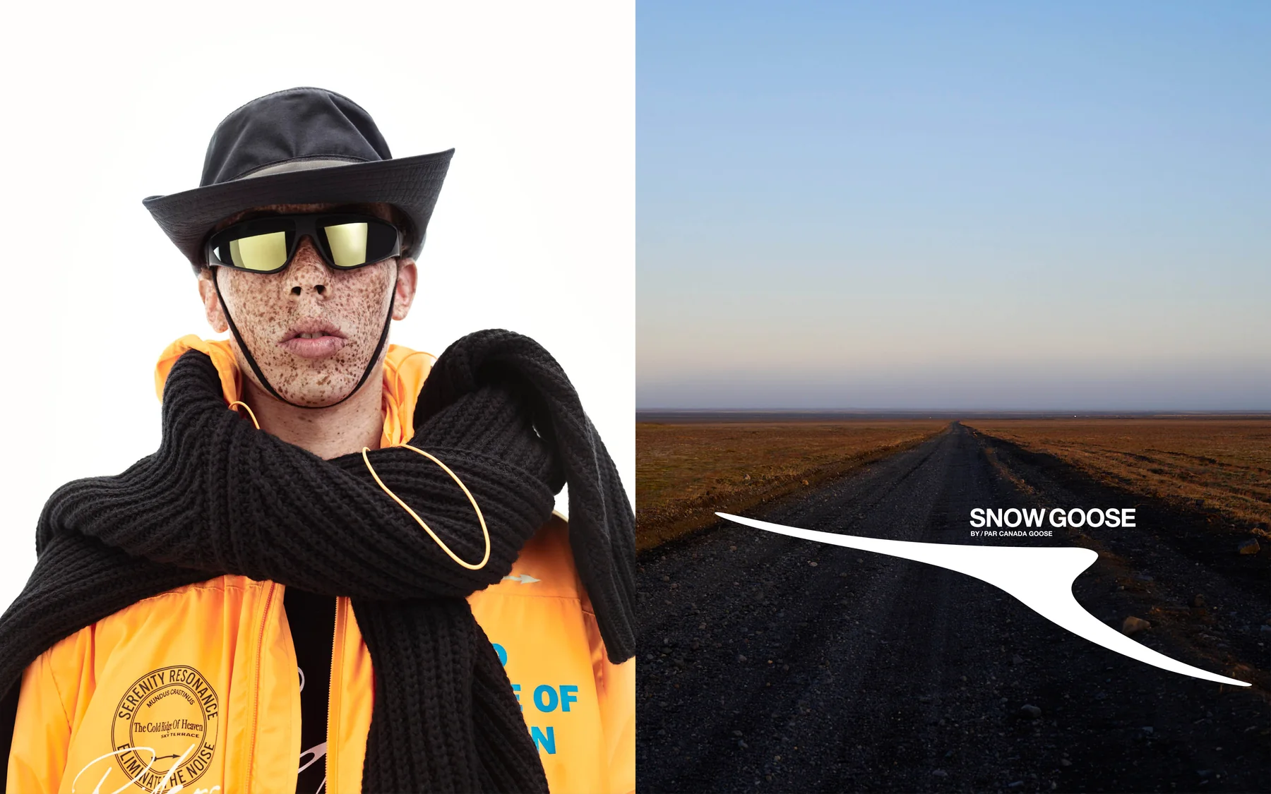Canada Goose snow goose studio-to-landscape campaign, asset 2