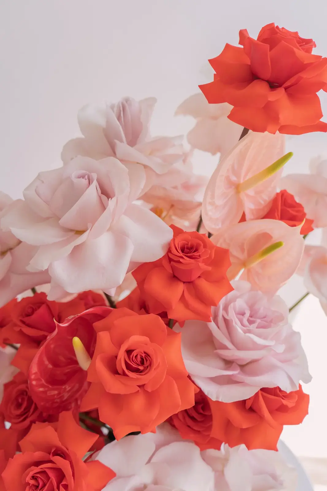 Glossier Feeling Like Glossier photography: Botanical still life