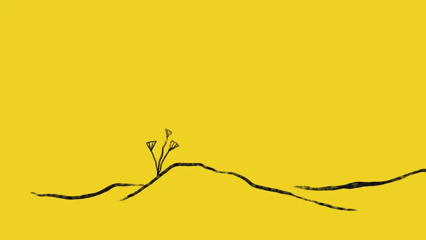 Mailchimp outsider-art illustration: Signature single-line drawing